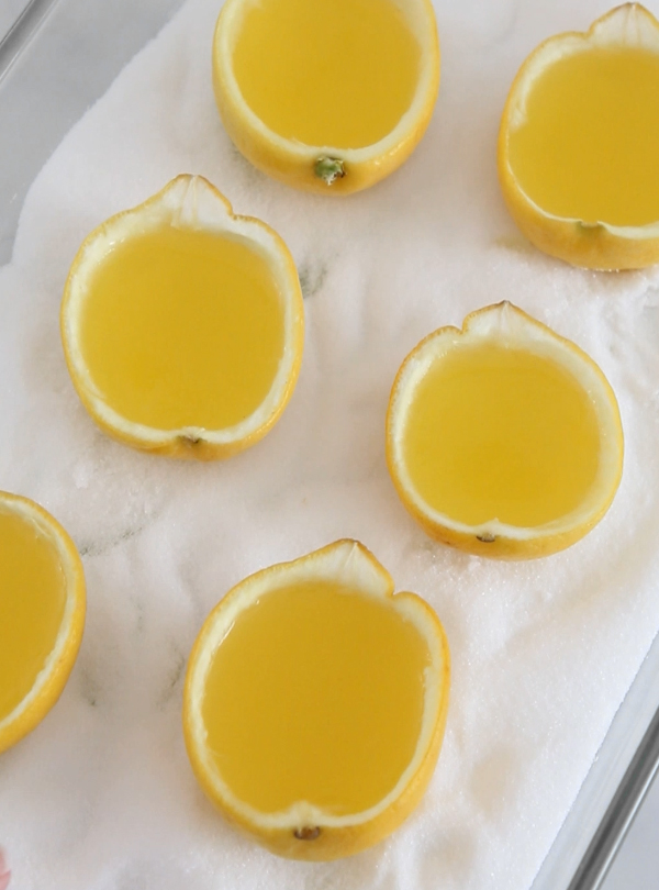 Lemon Elderflower Cordial Slices