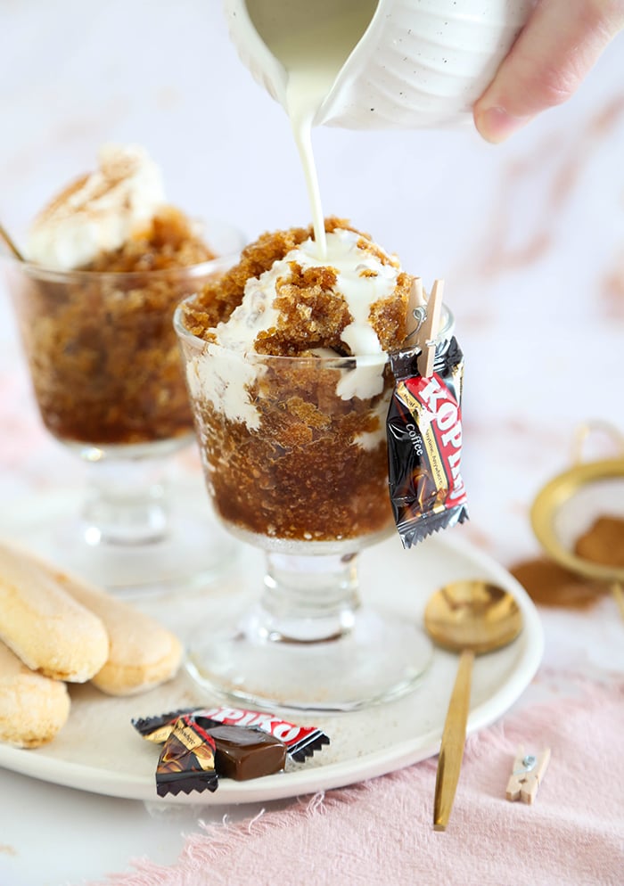 2 Ingredient Coffee Granita