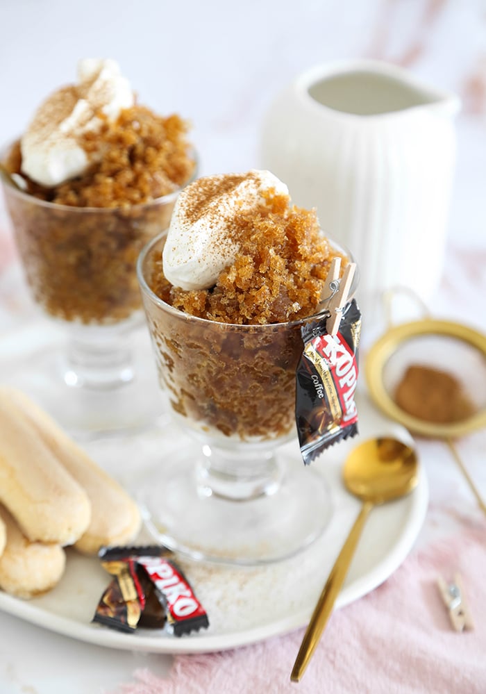 2 Ingredient Coffee Granita